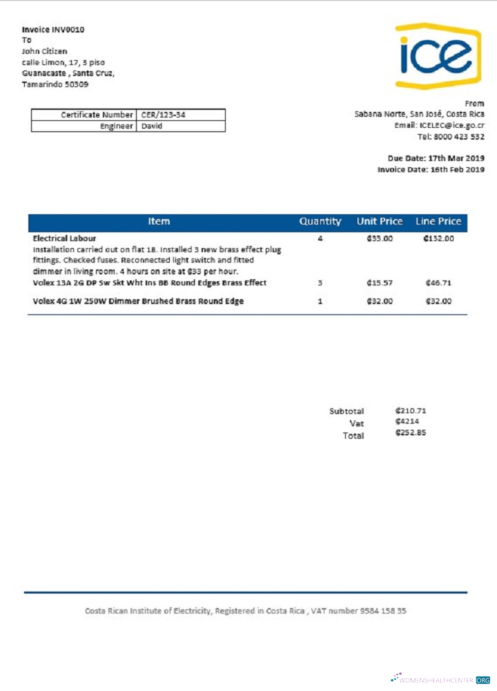 download download Costa Rica Costa Rican Institute of Electricity utility bill